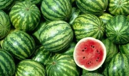 善堂网红吃瓜是真的吗,真相揭秘还是网络炒作？